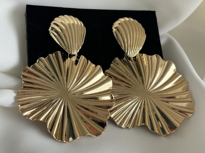 Coquille d’Eclats